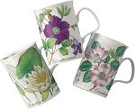 Botanic Garden Mugs set of 3